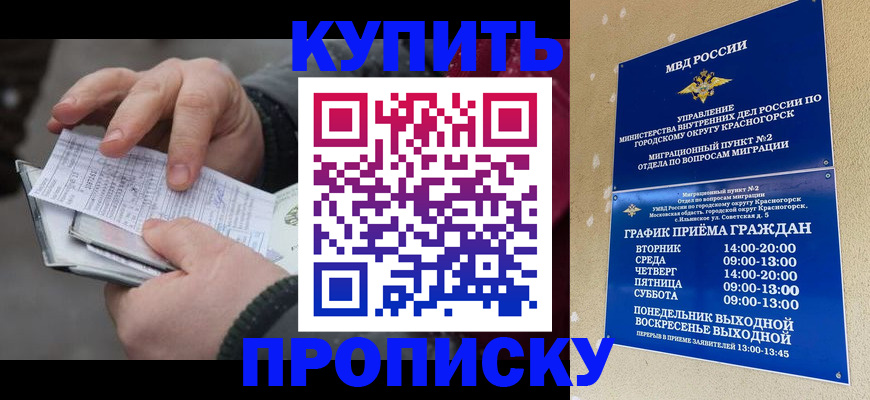 временная регистрация недорого в Выборге